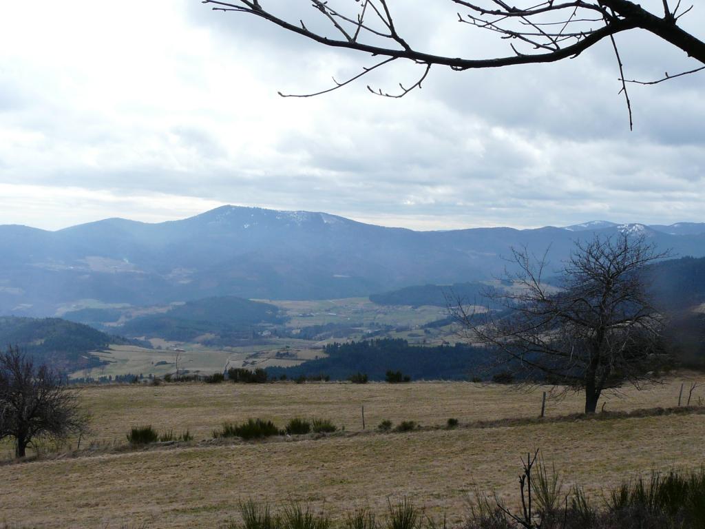 Burdignes, 08-03-09, 12-55.jpg